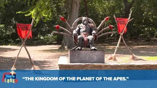 In-depth with the cast and crew of “The Kingdom of the Planet of the Apes” | Take a Look