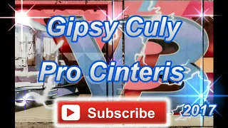 Gipsy Culy 48   Pro Cinteris