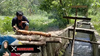 ROASTING PORK BELLY ON A BAMBOO WATERMILL | LIFE IN THE PROVINCE | EPISODE 22