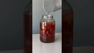 MAKING HOMEMADE STRAWBERRY WINE