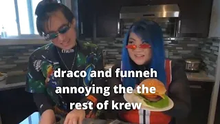 funneh and draco ✨annoying✨ the rest of krew