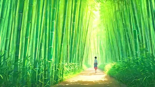 Acoustic guitar　Instrumental　「Silence in the bamboo grove」