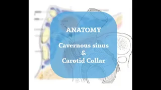 Neurosurgery Basics Lecture : Cavernous Sinus Anatomy