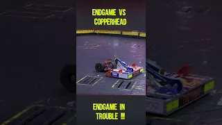 Can Endgame win vs Copperhead ?? Battlebots quarter finals 2023 #battlebots