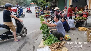 Robert sells vegetables in city. City people love vegetables from the forest. Green forest life