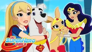 Hecho Polvo (Parte 1 & 2) | Animales molestos (Parte 1 & 2) | DC Super Hero Girls Latino America