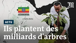 L'Ethiopie plante quatre milliards d’arbres en six mois
