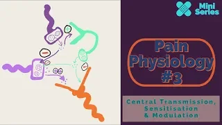 Pain Physiology 3: Central Transmission, Sensitisation and Modulation