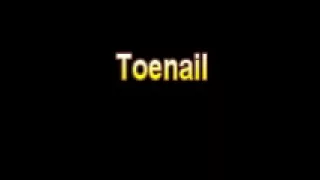 What Is The Definition Of Toenail