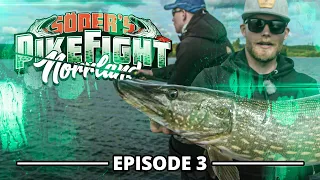 Pike Fight 2020 - Episode 3