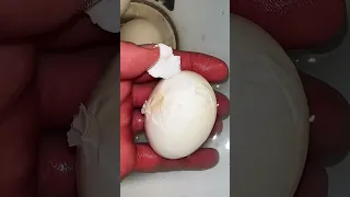 hard boiled duck eggs