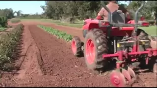 Hilling Potatoes   Growing a Vegetable Garden