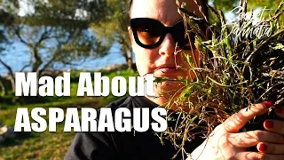 Mad About Asparagus - Wild Asparagus hunting in Croatia