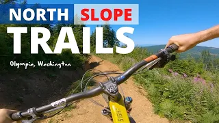 North Slope Trails, Olympia, Washington