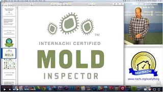 Tips on Performing a Mold Inspection