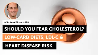 Low-Carb Diets and Cholesterol, LDL-C & Heart Disease Risk w/ Dr. David Diamond PhD