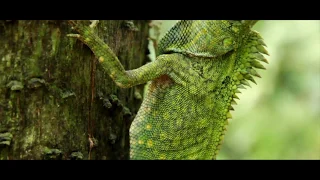 Malaysia - Tioman island - Earth People