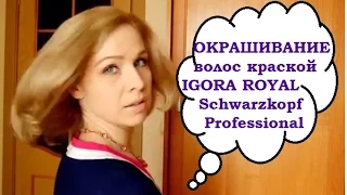 ОКРАШИВАНИЕ волос дома профессиональной краской IGORA ROYAL Schwarzkopf Professional