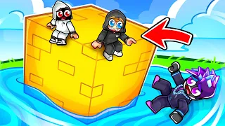 TMF Builds the LARGEST CUBE in Roblox Build a Boat!