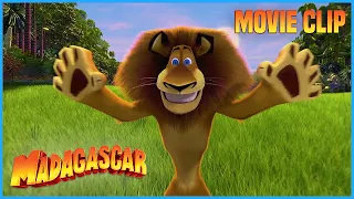 Who's The Cat? 🦁 | Madagascar | Movie Clip | Mega Moments