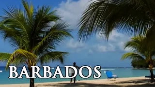 Barbados: ein kräftiger Schuss Karibik - Reisebericht