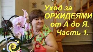 Уход за ОРХИДЕЯМИ от А до Я. Часть I. | PHALAENOPSIS ORCHID CARE.