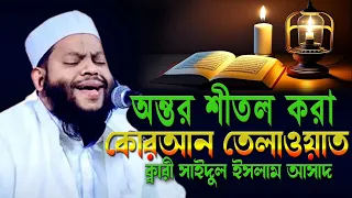 আহ একি তিলাওয়াত উপহার দিলেন | বিশ্বজয়ী ক্বারী সাইদুল ইসলাম আসাদ |  Quran Recitation Qari Asad ।