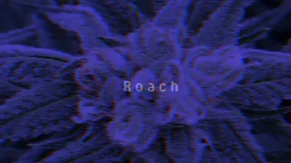 [フリー/Free] Rykey, 舐達麻 & Green Assassin Dollar Type Beat - "Roach" (Prod. yamaxaki)