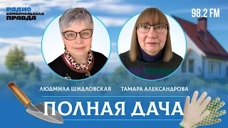 В саду наступила волшебная пора цветения / Полная дача / 26.04.2024