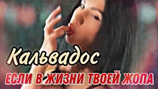 Кальвадос - Рыбка | Если в жизни твоей жопа | Sexxxy Dance Cover