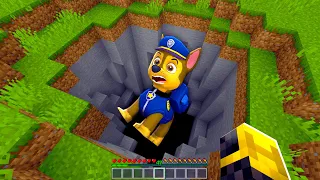 CHASE PAW PATROL SE CAE EN UN AGUJERO EN MINECRAFT 😱