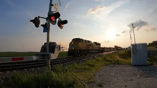 Crossing gates go up then immediately back down for second train!