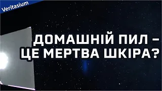 Домашній пил – це переважно мертва шкіра? [Veritasium]