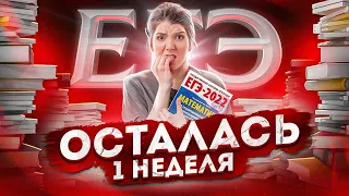 1 неделя до ЕГЭ по математике | Быстрая подготовка к ЕГЭ | Лайфхаки