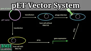 pET Vector System |