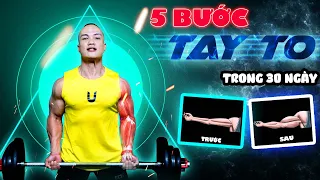 5 Bước giúp bắp tay to đùng trong 30 ngày, tặng lịch tập cụ thể