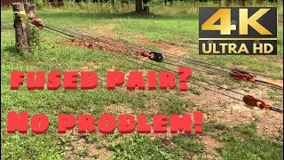 #10 Pulling Fused Stumps With Snatch Block Pulleys 14:1 Mechanical Advantage [4K 60FPS]