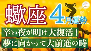 【大吉報】辛いことは終わり☀️心も物質も豊かな道へ進みます🩵蠍座4月運勢リーデイング🔮仕事運,人間関係運,恋愛運,金運,財運,家庭運,事業運,全体運［タロット/オラクル/風水］