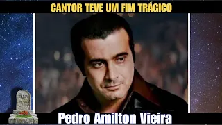 Túmulo e homenagem ao cantor Amilton Lelo | Cemitério Jardim das Palmeiras.