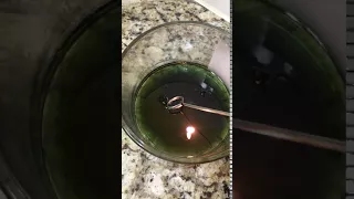 Wick Dipper / Candle Snuffer