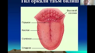 Болаларда овкат хазм килиш тизими анатомо физиологик хусусиятлари   Текшириш усуллари  Касалликлар с