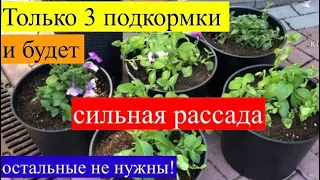 Только 3 подкормки и обеспечена здоровая и сильная рассада! Остальные не нужны! Не тратьте деньги!!!