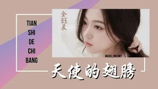 天使的翅膀-Tian Shi De Chi Bang [金鈺晨-Jin Yu Chen] chi/pinyin lyrics