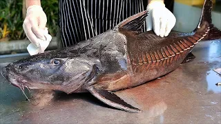 Bangkok Food - GIANT MONSTER FISH CURRY Thai Seafood Thailand