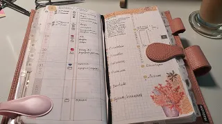 обзор 3 недель. выставка камней как не обмануться?  мой ежедневник, my planner