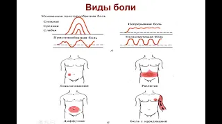 Боль | Физиология