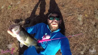 MONSTER BASS ON A BARBIE ROD!!!