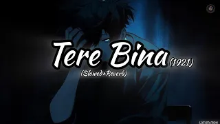 Tere Bina (Slowed + Reverb) | Arijit Singh, Aakanksha Sharma | 1921 | LOFI STATION