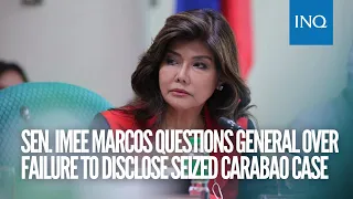 Sen. Imee Marcos questions general over failure to disclose seized carabao case