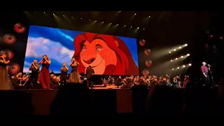 König der Löwen - Disney in Concert 2024 - Hannover